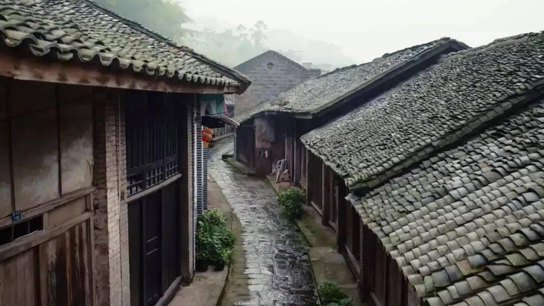 逃离神秘老林